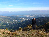 Dunedin from Mt Cargill