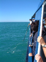 Listening for Whales
