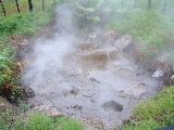 Bubbling mud pool - Rotorua