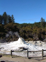 Lady Knox Geyser